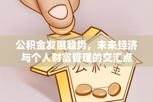 神湾公积金发展趋势，未来经济与个人财富管理的交汇点