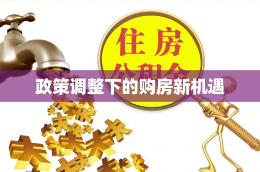神湾政策调整下的购房新机遇
