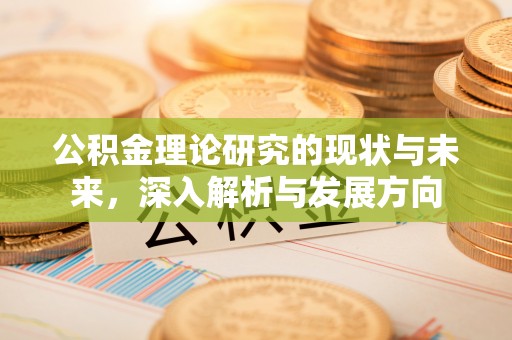 神湾公积金理论研究的现状与未来，深入解析与发展方向