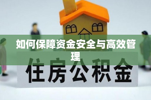 神湾如何保障资金安全与高效管理