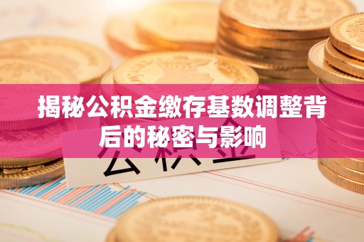 神湾揭秘公积金缴存基数调整背后的秘密与影响
