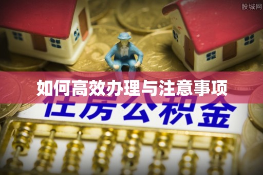 神湾如何高效办理与注意事项