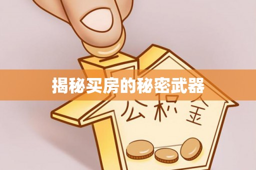 神湾揭秘买房的秘密武器