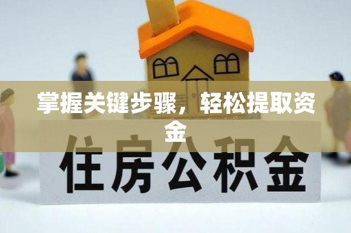 神湾掌握关键步骤，轻松提取资金