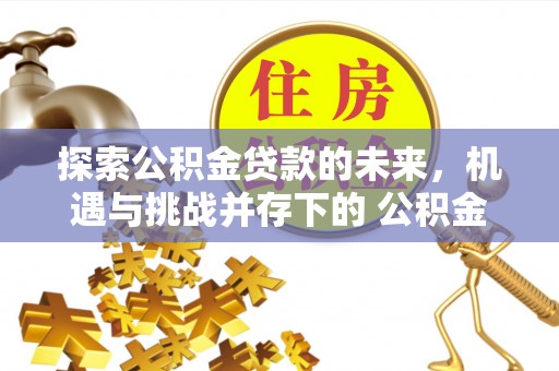 神湾探索公积金贷款的未来，机遇与挑战并存下的 公积金贷款风险防控