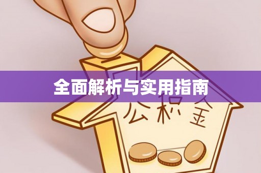神湾全面解析与实用指南