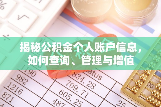 神湾揭秘公积金个人账户信息，如何查询、管理与增值