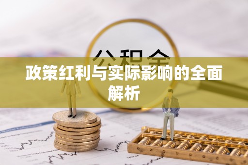 神湾政策红利与实际影响的全面解析