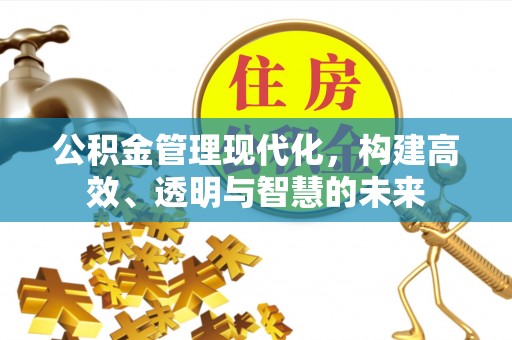 神湾公积金管理现代化，构建高效、透明与智慧的未来