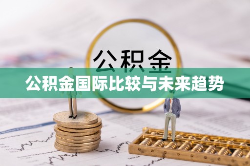 神湾公积金国际比较与未来趋势