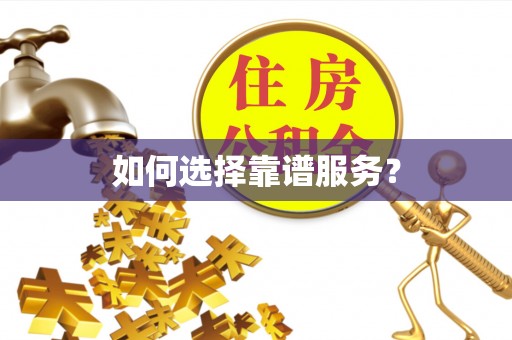 神湾如何选择靠谱服务？