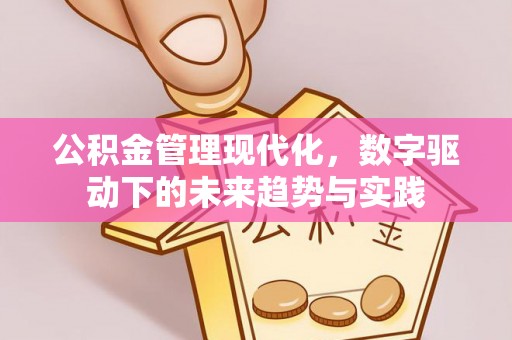 神湾公积金管理现代化，数字驱动下的未来趋势与实践