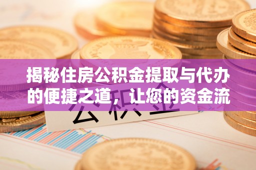 神湾揭秘住房公积金提取与代办的便捷之道，让您的资金流动更高效