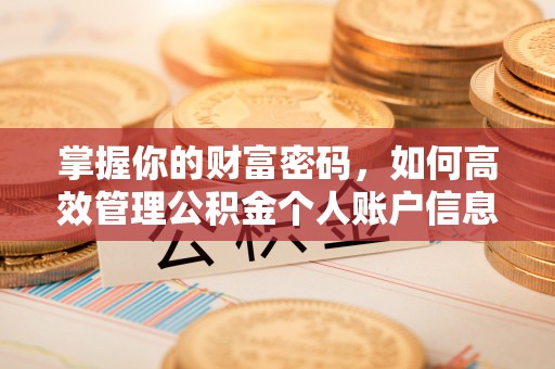 神湾掌握你的财富密码，如何高效管理公积金个人账户信息