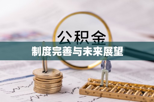 神湾制度完善与未来展望