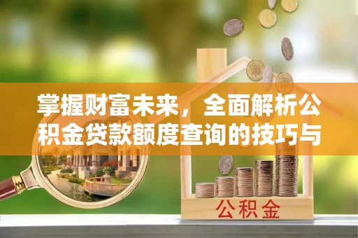 神湾掌握财富未来，全面解析公积金贷款额度查询的技巧与策略