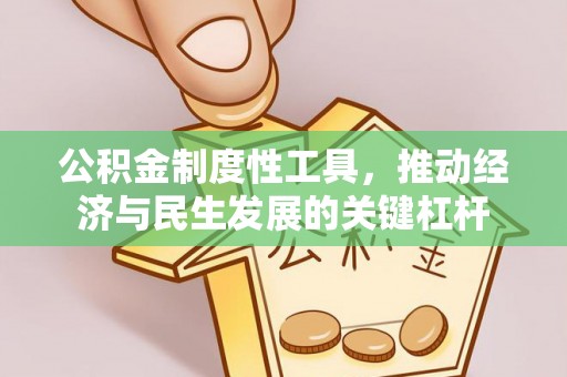 神湾公积金制度性工具，推动经济与民生发展的关键杠杆