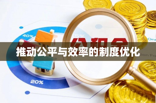 神湾推动公平与效率的制度优化