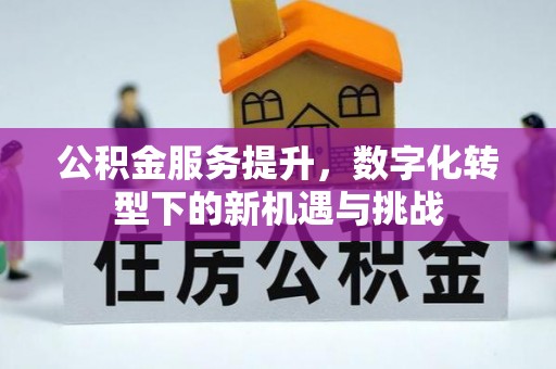 神湾公积金服务提升，数字化转型下的新机遇与挑战
