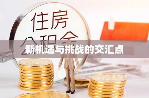 神湾新机遇与挑战的交汇点