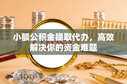神湾小额公积金提取代办，高效解决你的资金难题