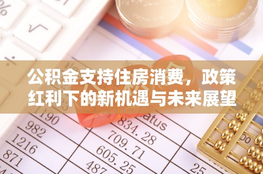 神湾公积金支持住房消费，政策红利下的新机遇与未来展望