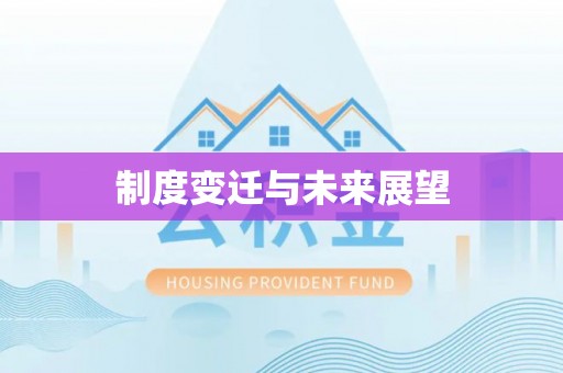 神湾制度变迁与未来展望