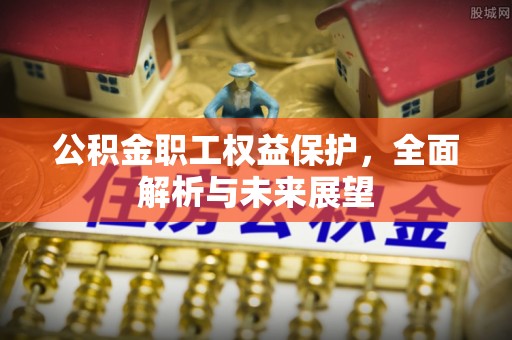 神湾公积金职工权益保护，全面解析与未来展望