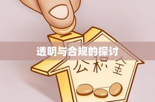 神湾透明与合规的探讨