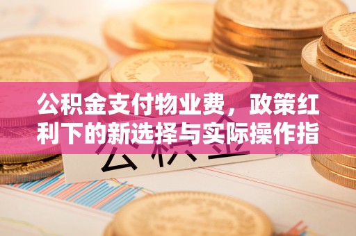 神湾公积金支付物业费，政策红利下的新选择与实际操作指南