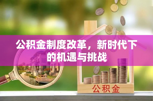 神湾公积金制度改革，新时代下的机遇与挑战