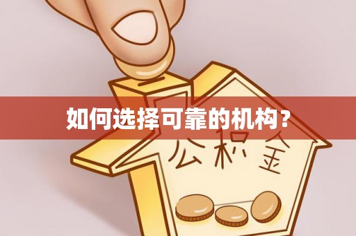 神湾如何选择可靠的机构？