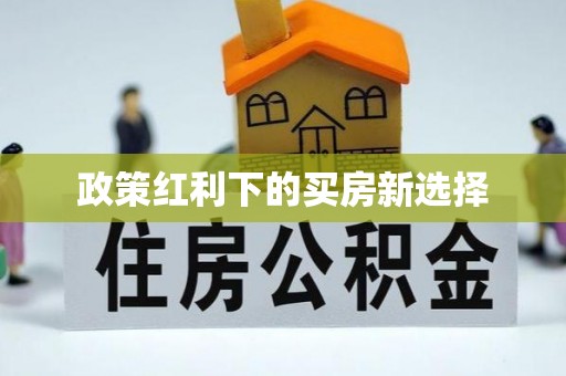 神湾政策红利下的买房新选择
