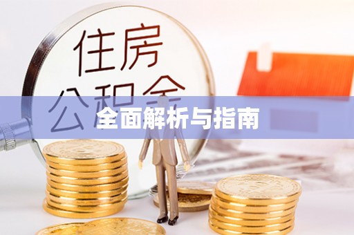 神湾全面解析与指南