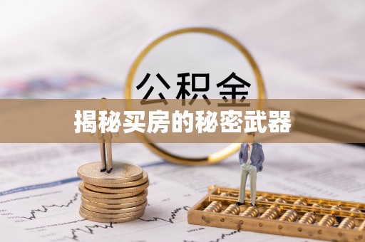 神湾揭秘买房的秘密武器