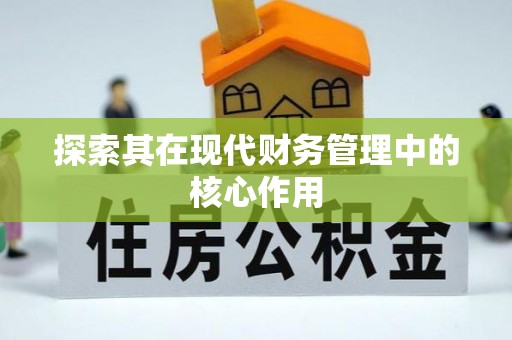 神湾探索其在现代财务管理中的核心作用