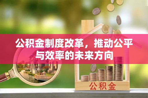 神湾公积金制度改革，推动公平与效率的未来方向