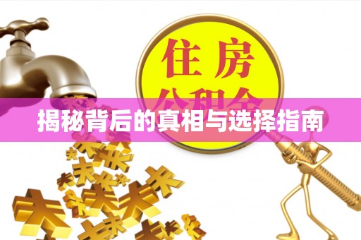 神湾揭秘背后的真相与选择指南