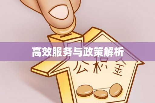 神湾高效服务与政策解析