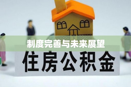 神湾制度完善与未来展望