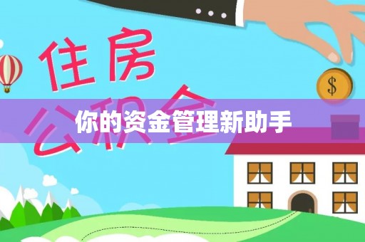 神湾你的资金管理新助手