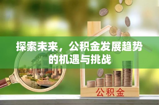 神湾探索未来，公积金发展趋势的机遇与挑战