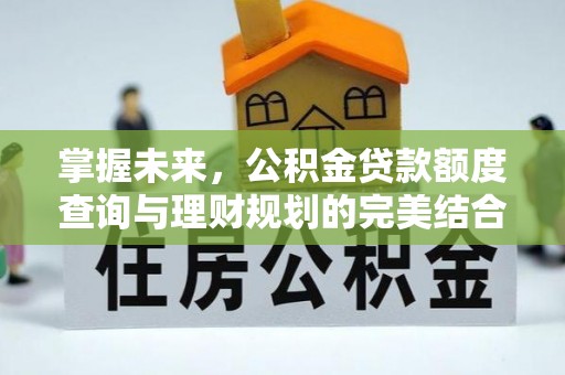 神湾掌握未来，公积金贷款额度查询与理财规划的完美结合