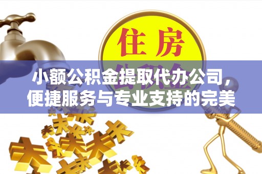 神湾小额公积金提取代办公司，便捷服务与专业支持的完美结合