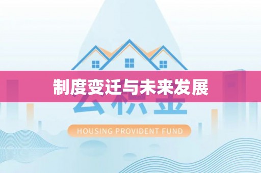 神湾制度变迁与未来发展