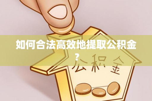 神湾如何合法高效地提取公积金？