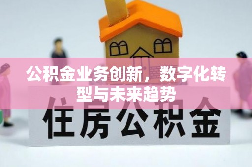 神湾公积金业务创新，数字化转型与未来趋势