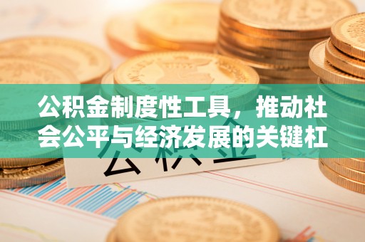 神湾公积金制度性工具，推动社会公平与经济发展的关键杠杆