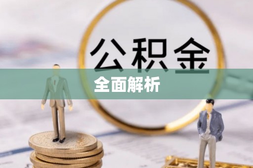 神湾全面解析