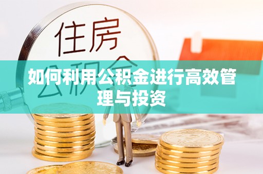神湾如何利用公积金进行高效管理与投资